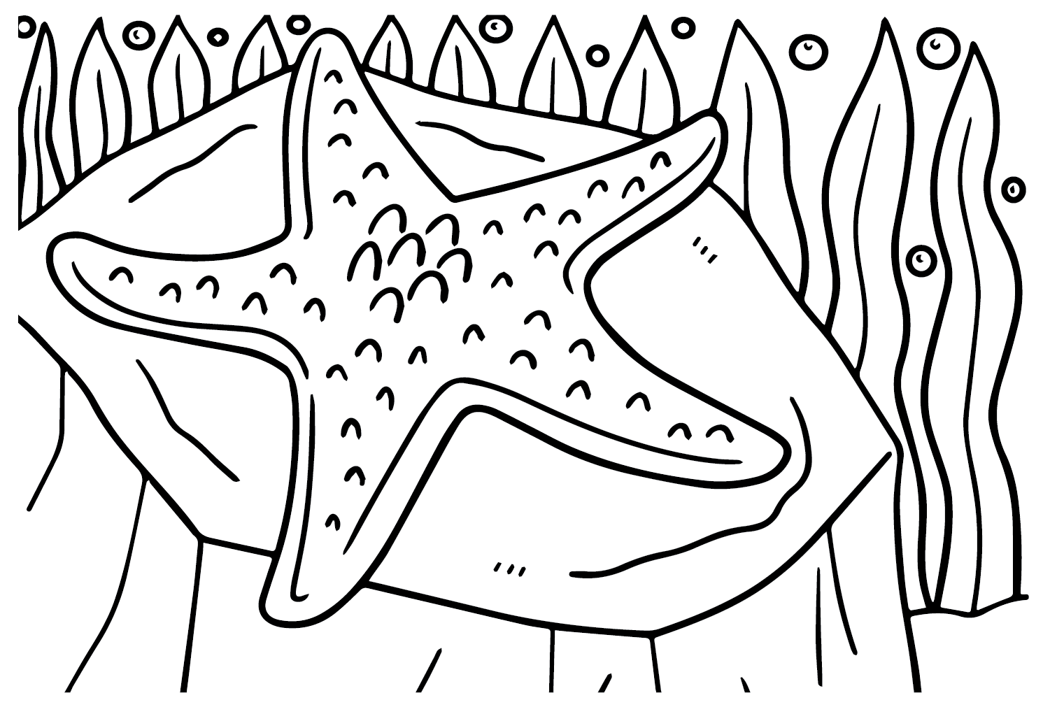 Desenhando estrela do mar de estrela do mar