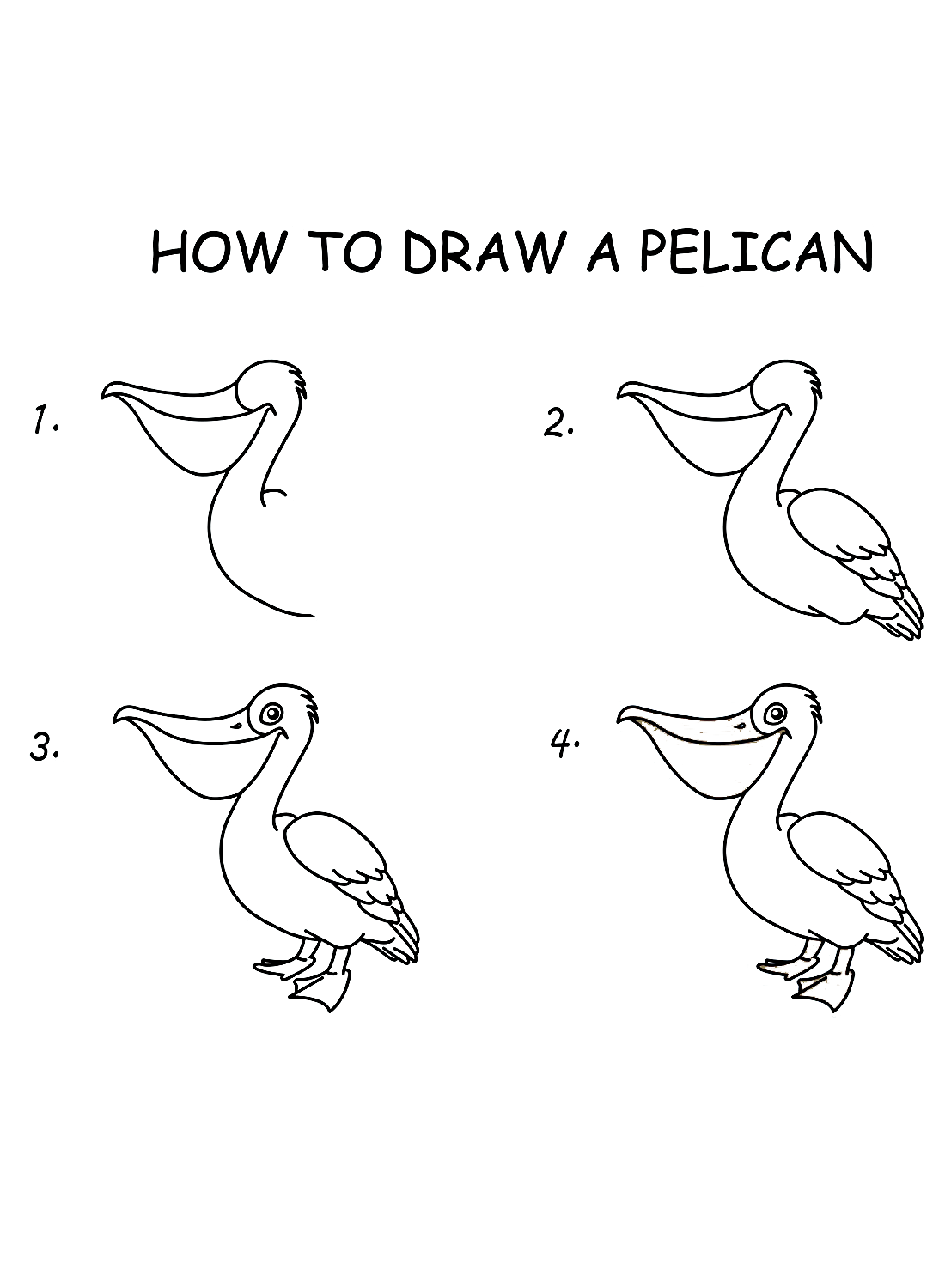 Einen Pelikan aus Pelikan zeichnen
