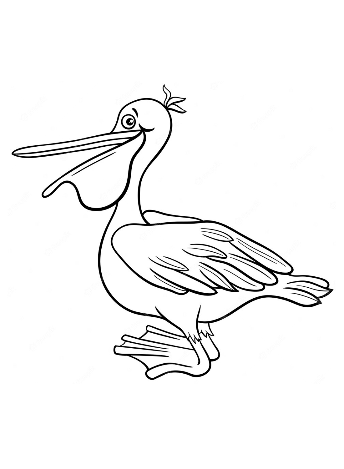 Easy Cute Pelican Coloring Page - Free Printable Coloring Pages