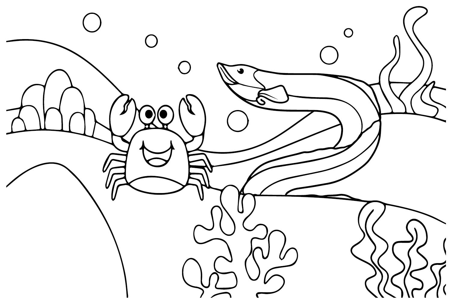 Aal und Krabbe von Aal