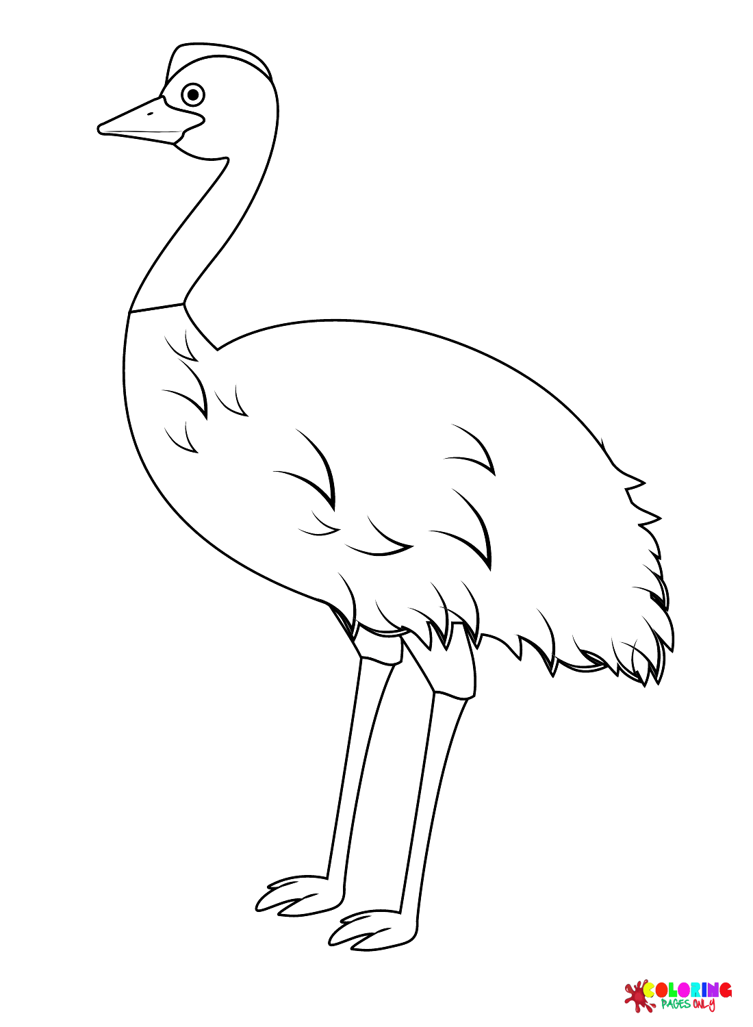 Emu Australië van Emu
