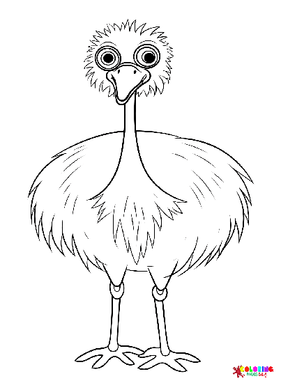 Emu-Bird-Beelden