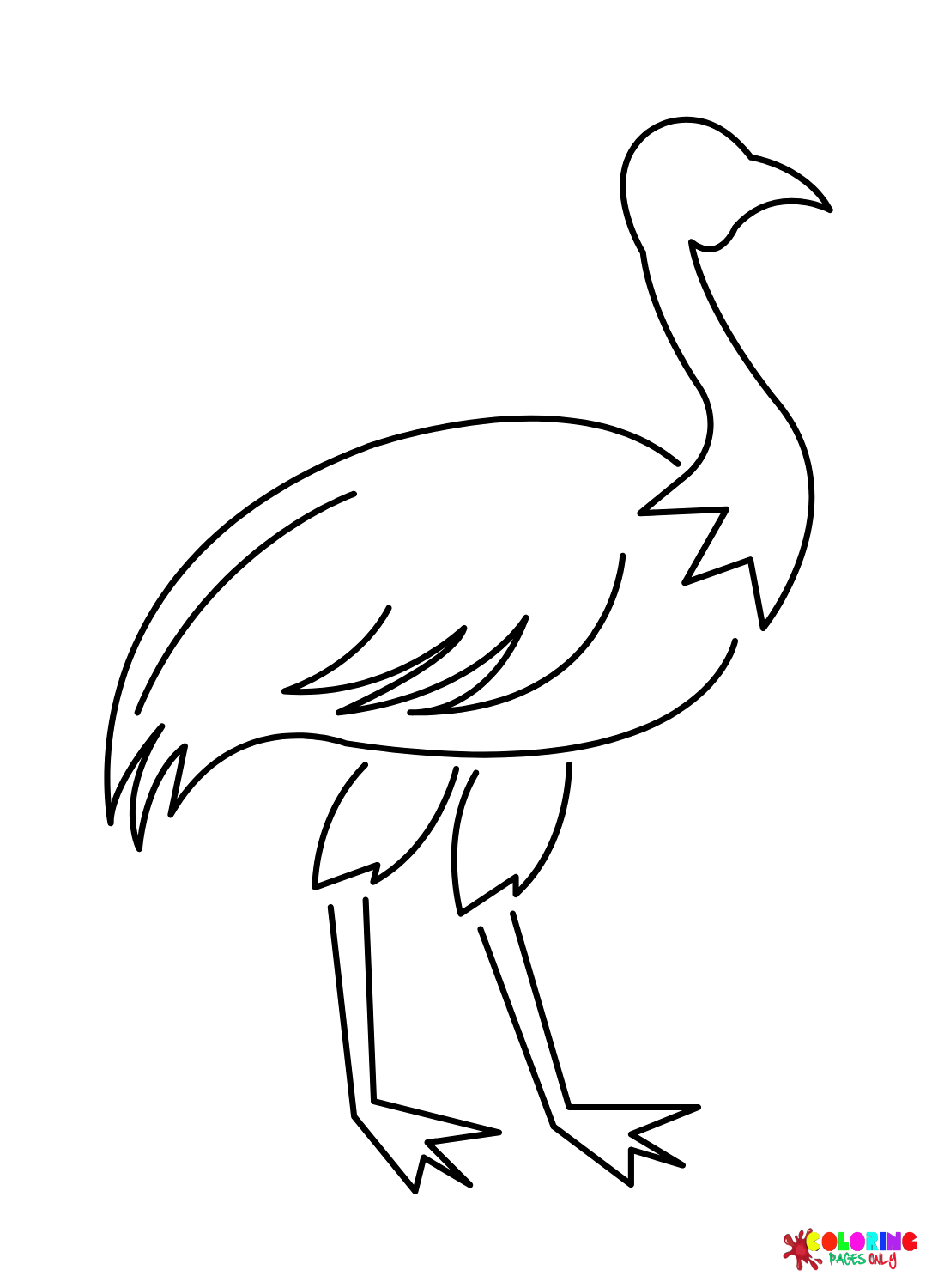 Контур птицы эму из Emu