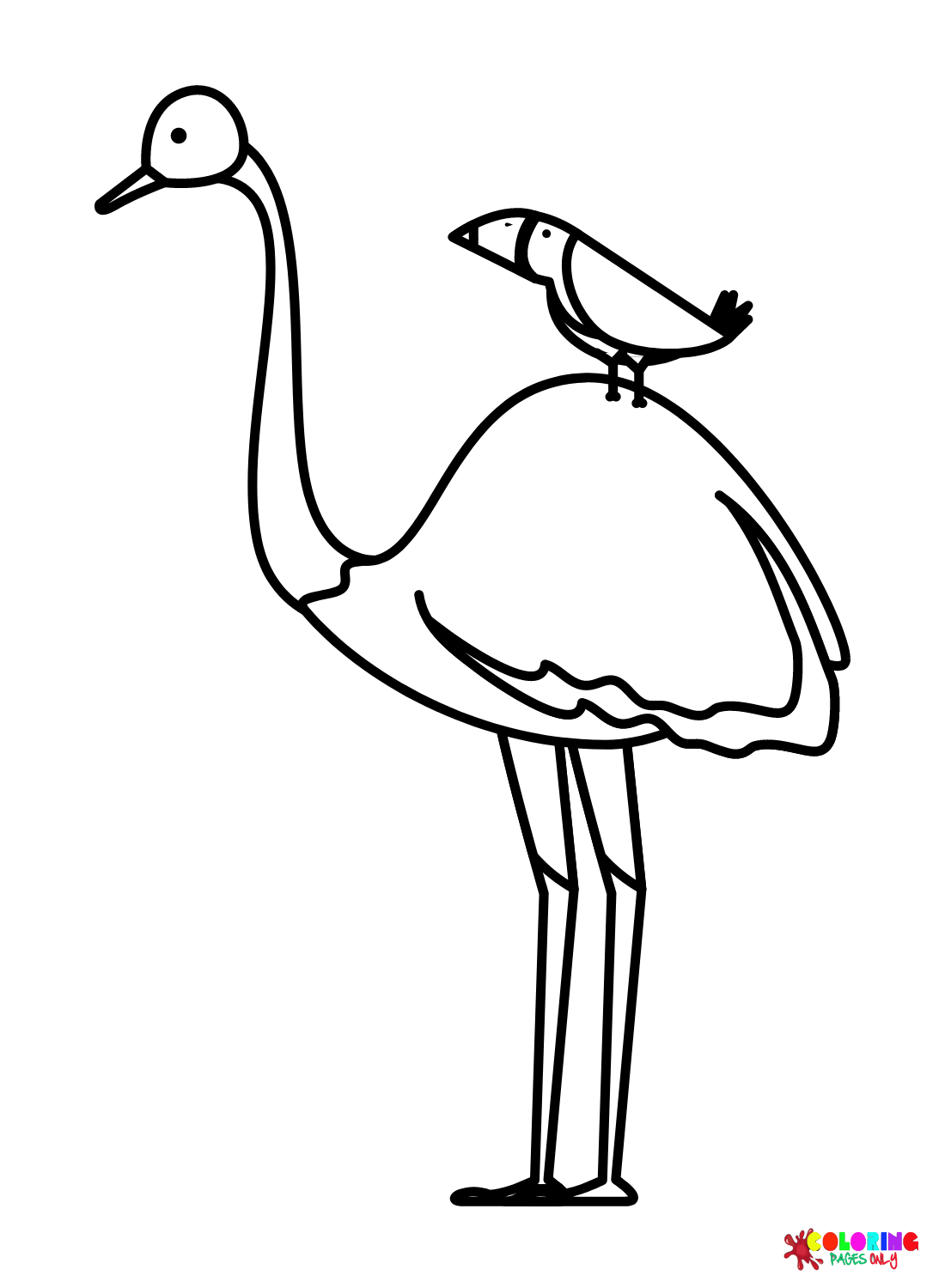 Emu Immagini da Emu