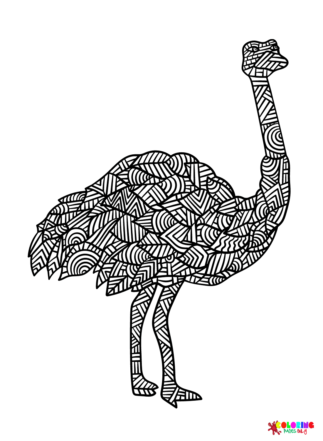 Emu Mandala from Emu