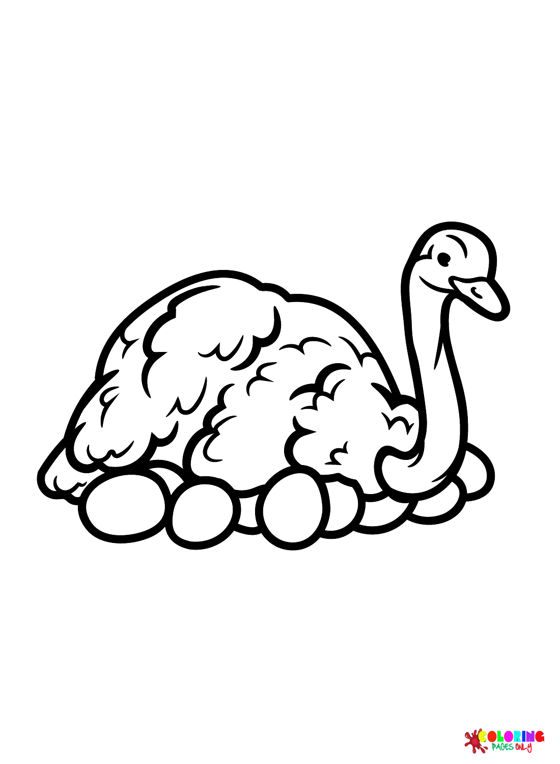 Emu con uova di Emu