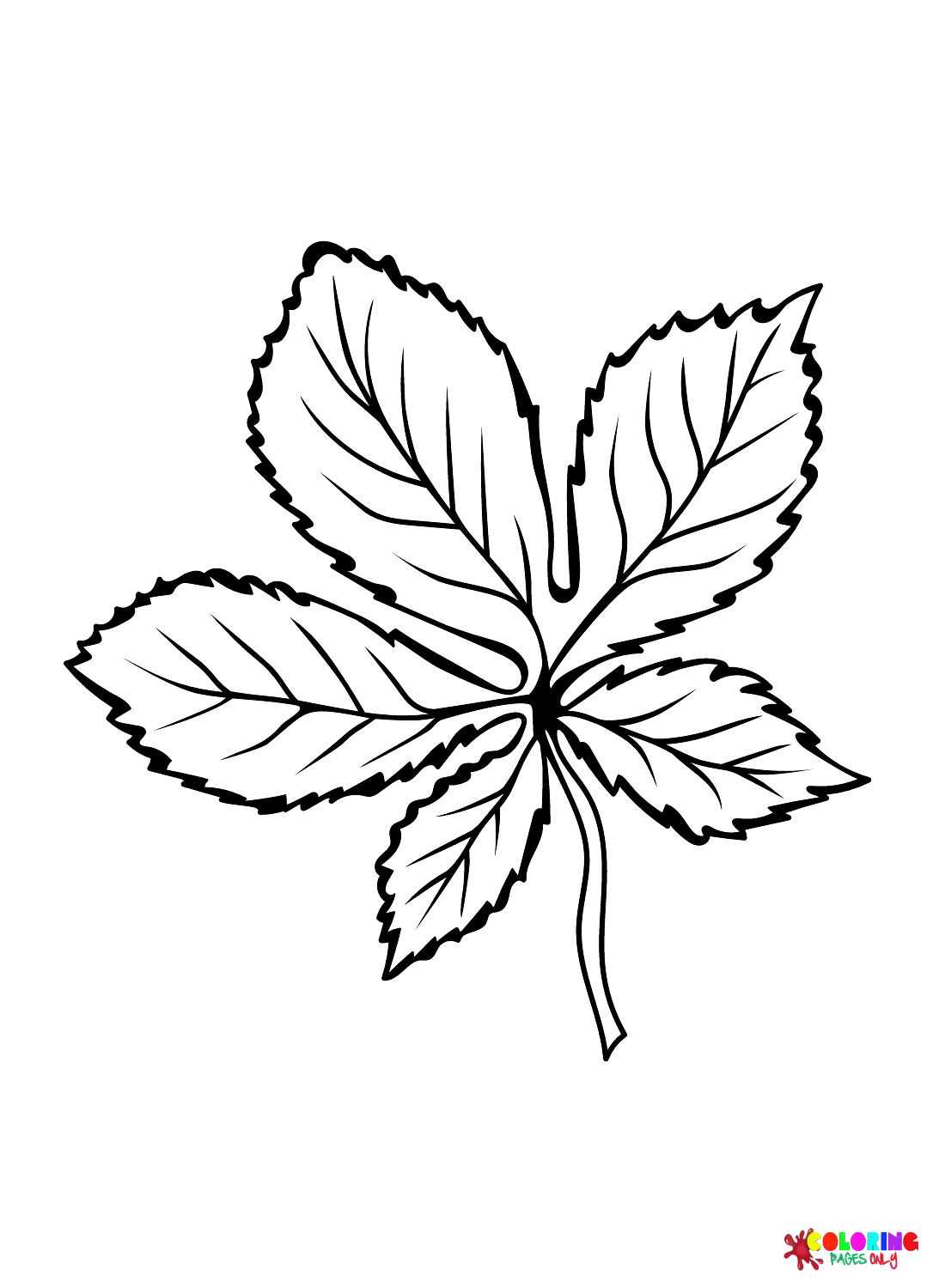 Foglia di castagno europeo dalle foglie