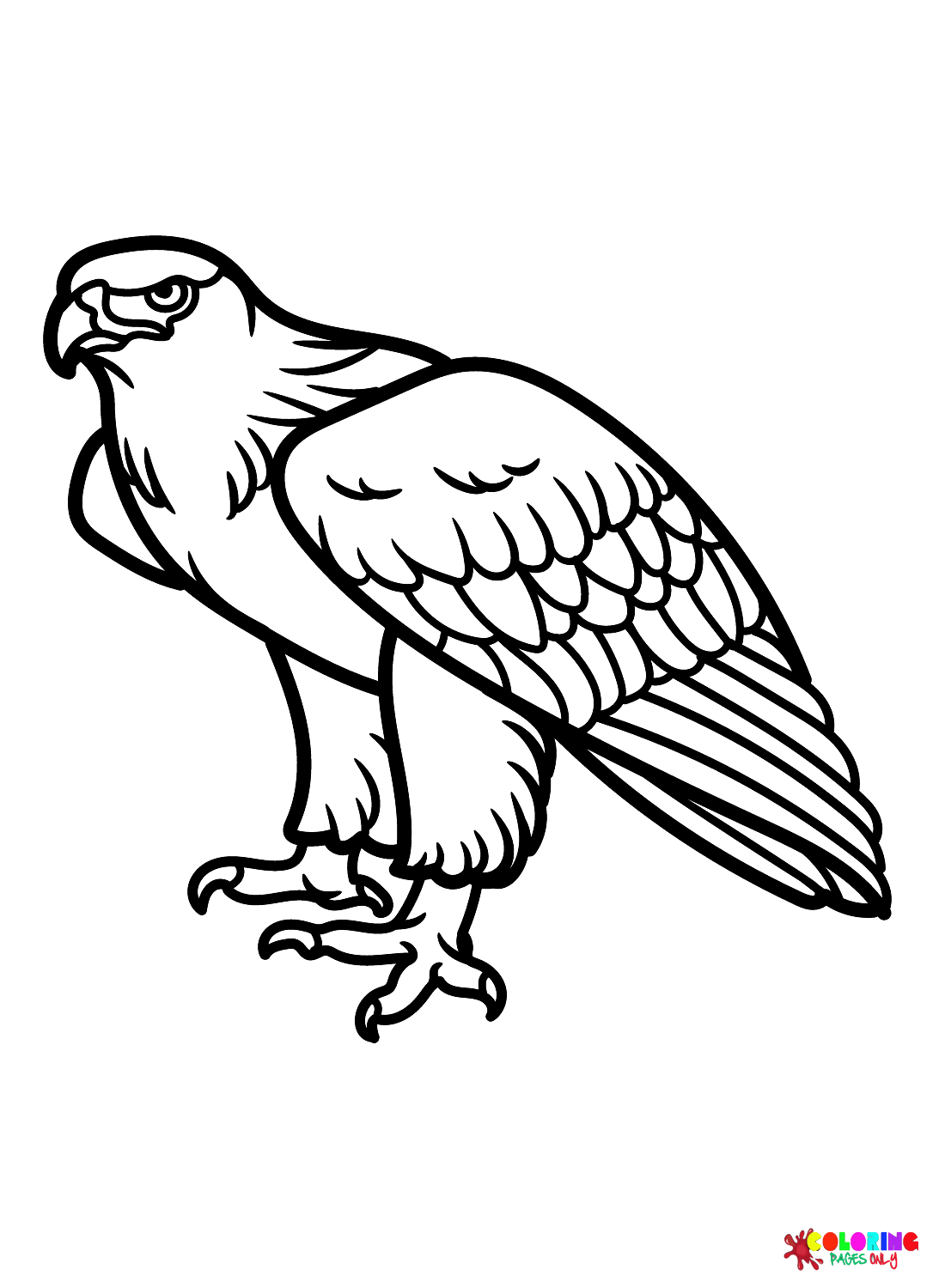 Faucon féroce de Hawks