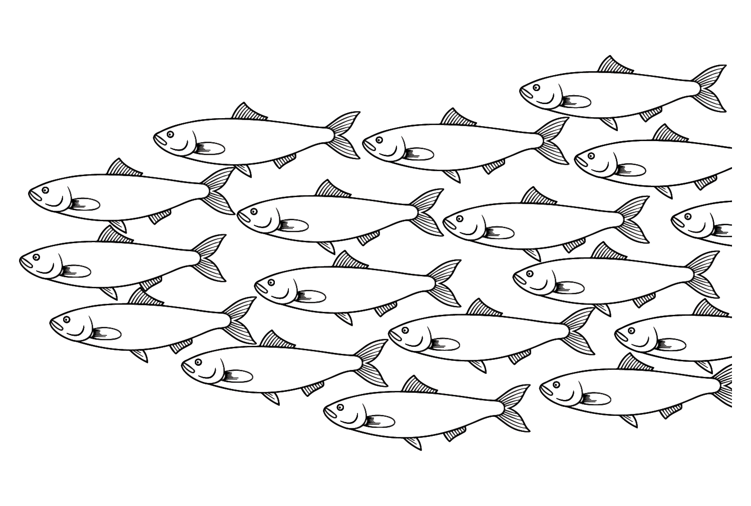 Fish Herring Coloring Pages