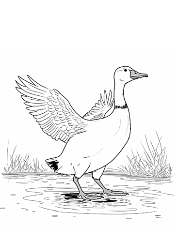 12 Free Printable Goose Coloring Pages