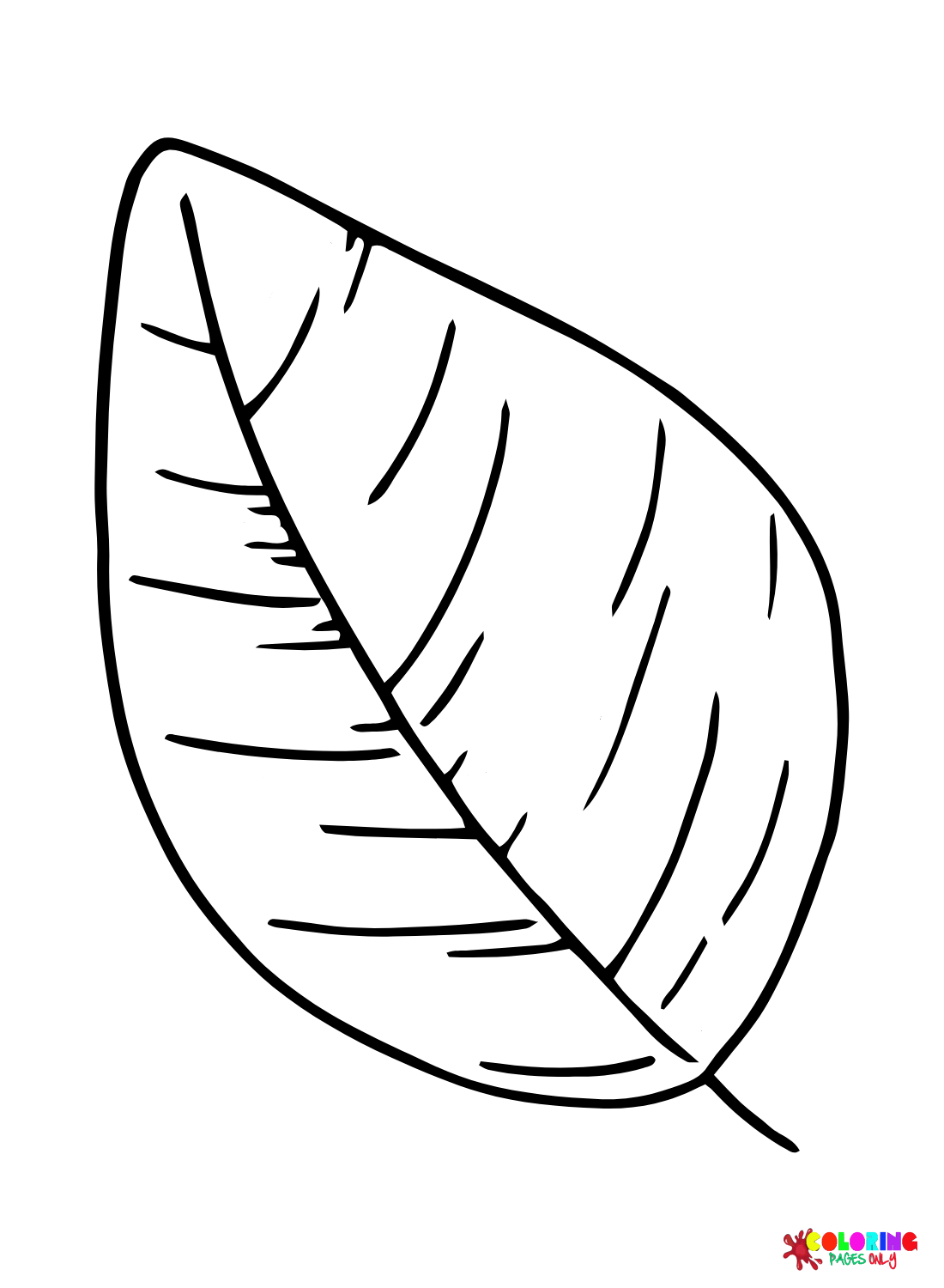 Раскраска Листва Листья