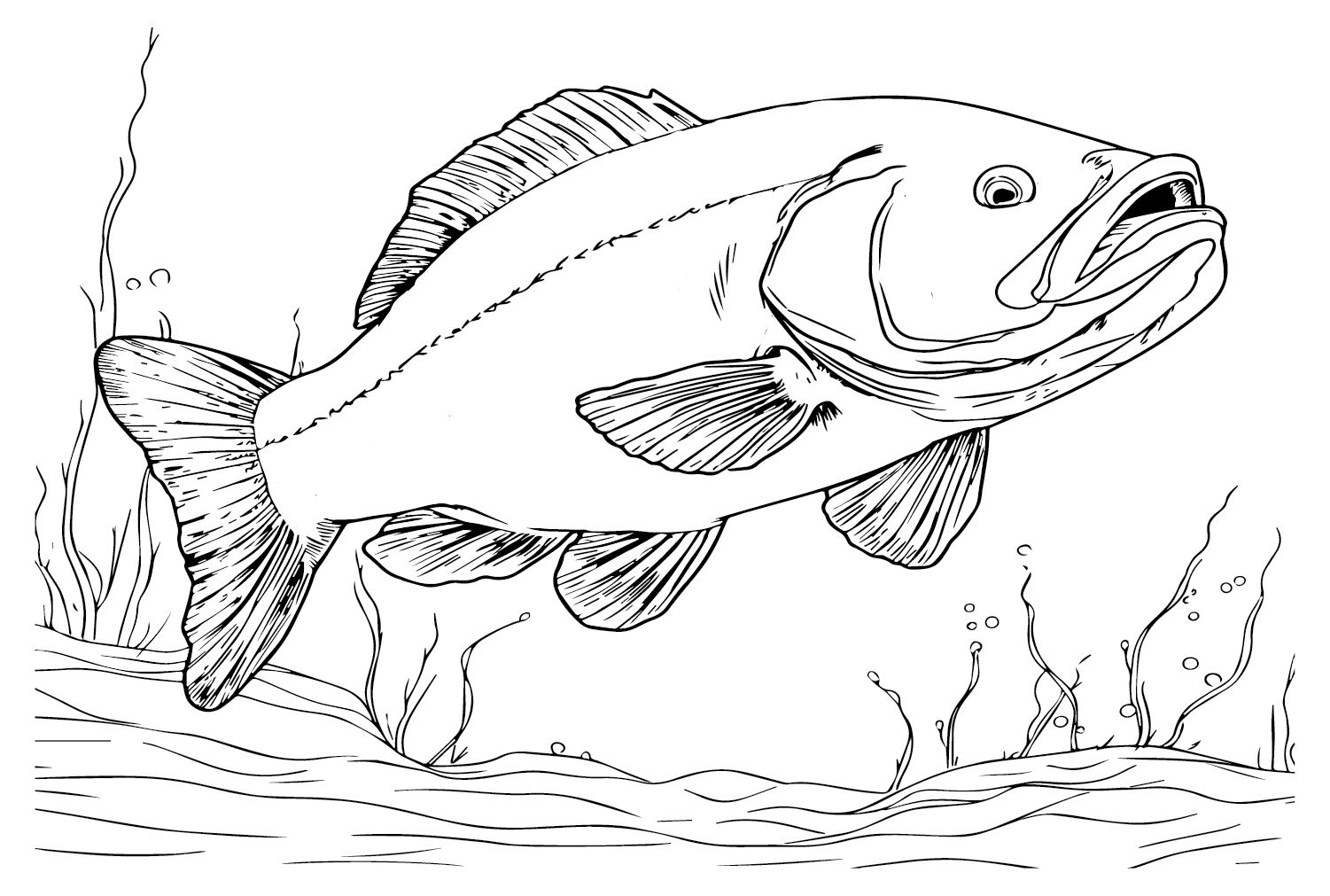 Gratis Bass Fish von Bass Fish