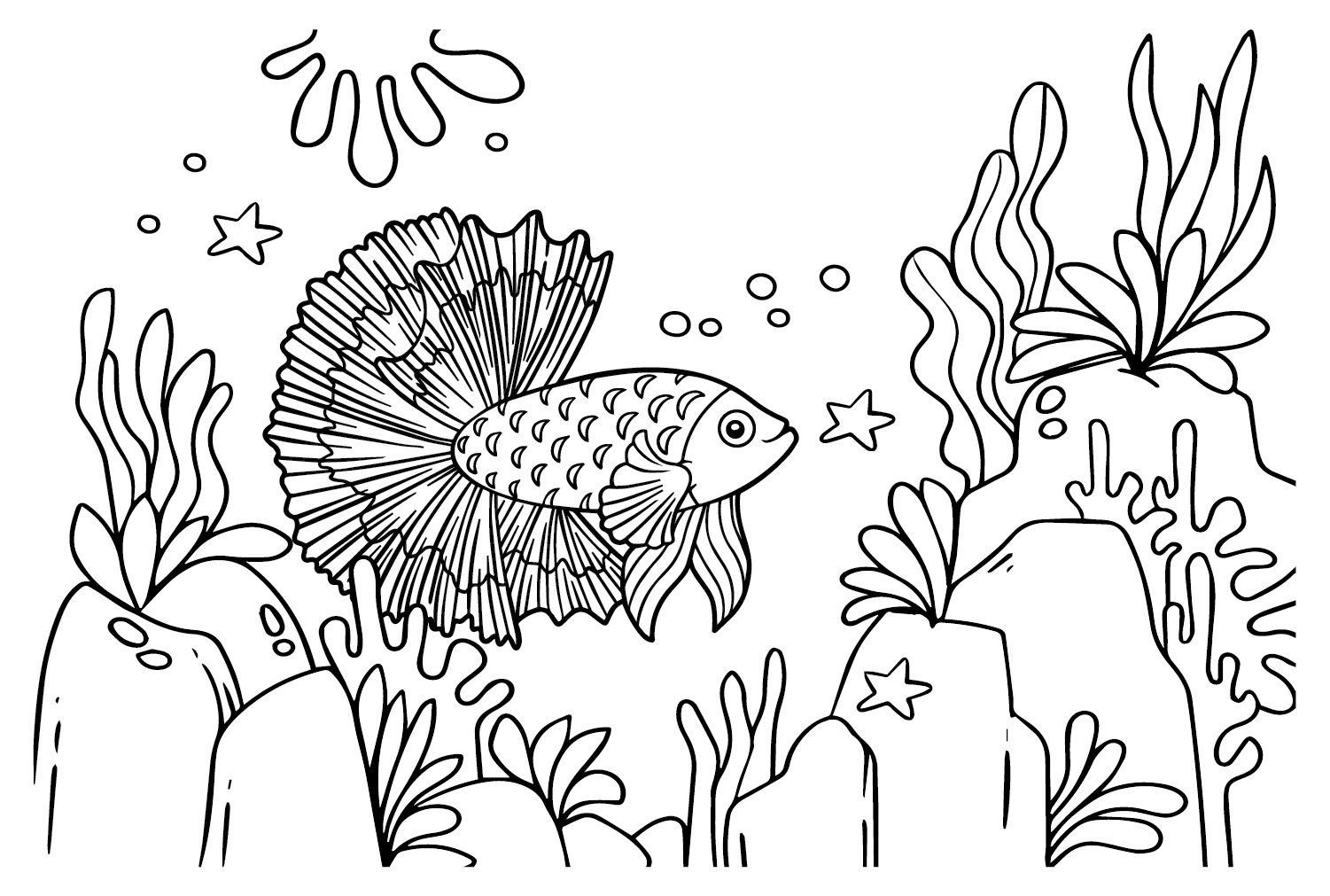 Free Betta Fish Coloring Pages