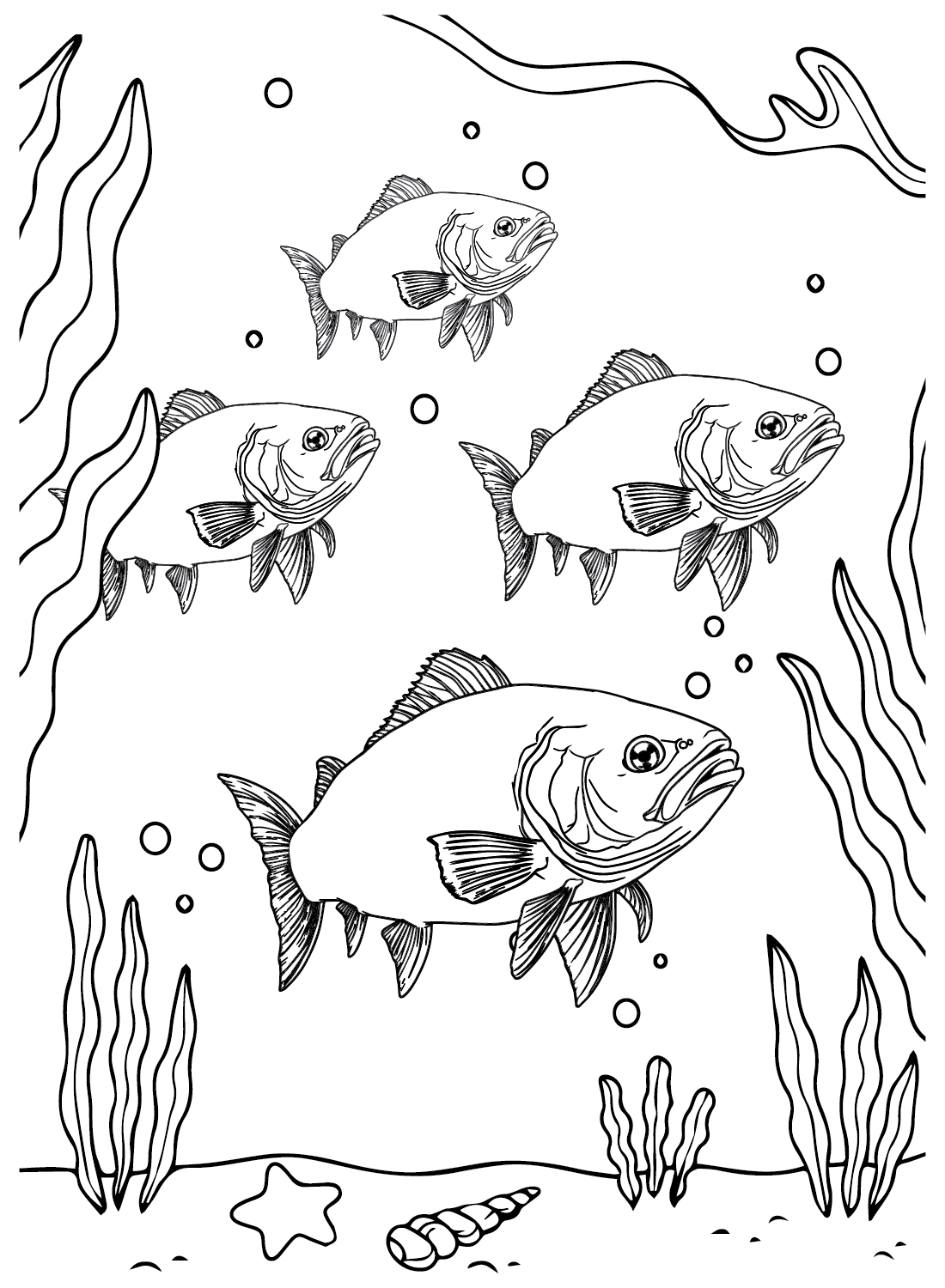 Free Bluefish Coloring Pages