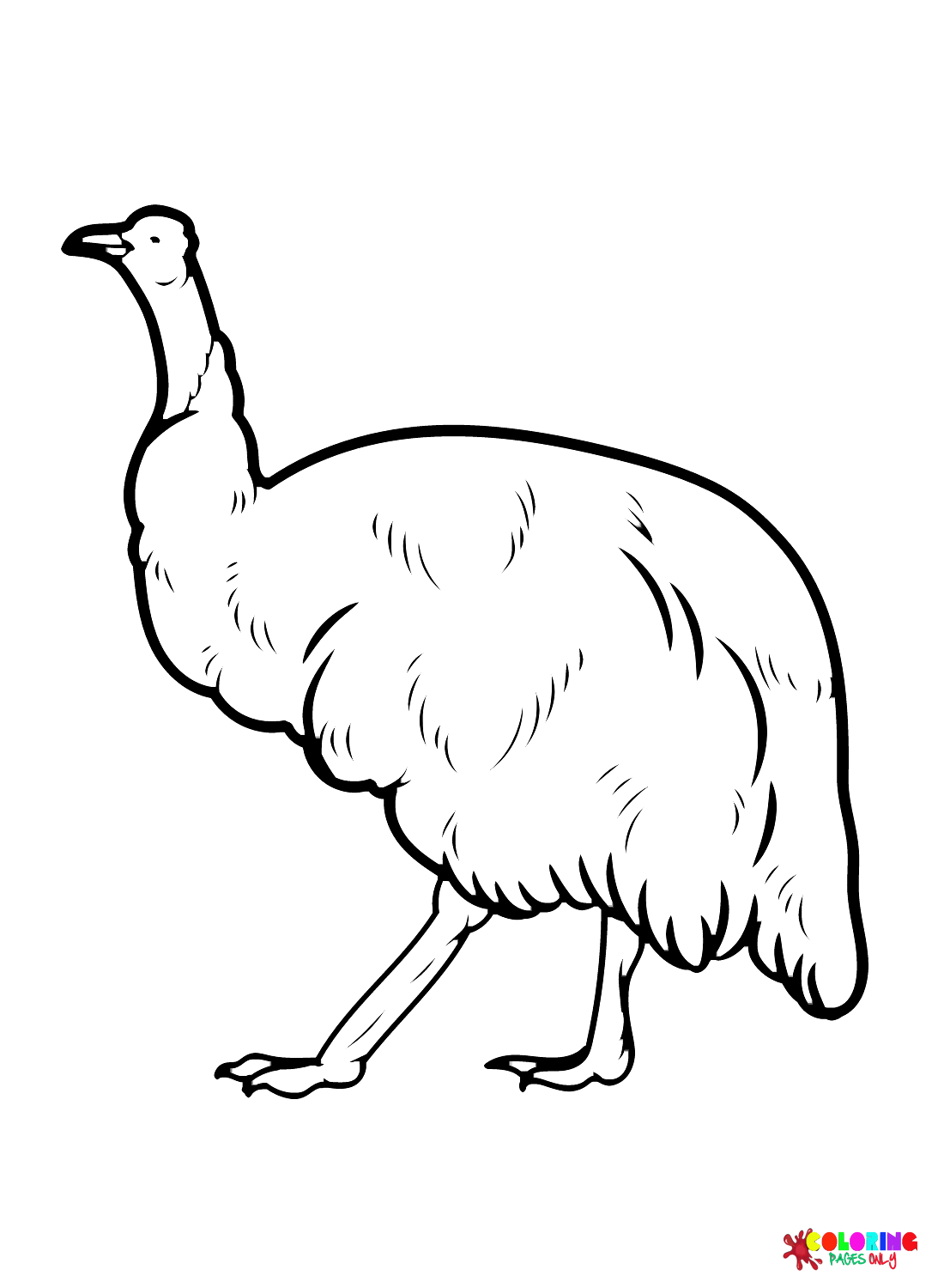 11+ Emu Coloring Page