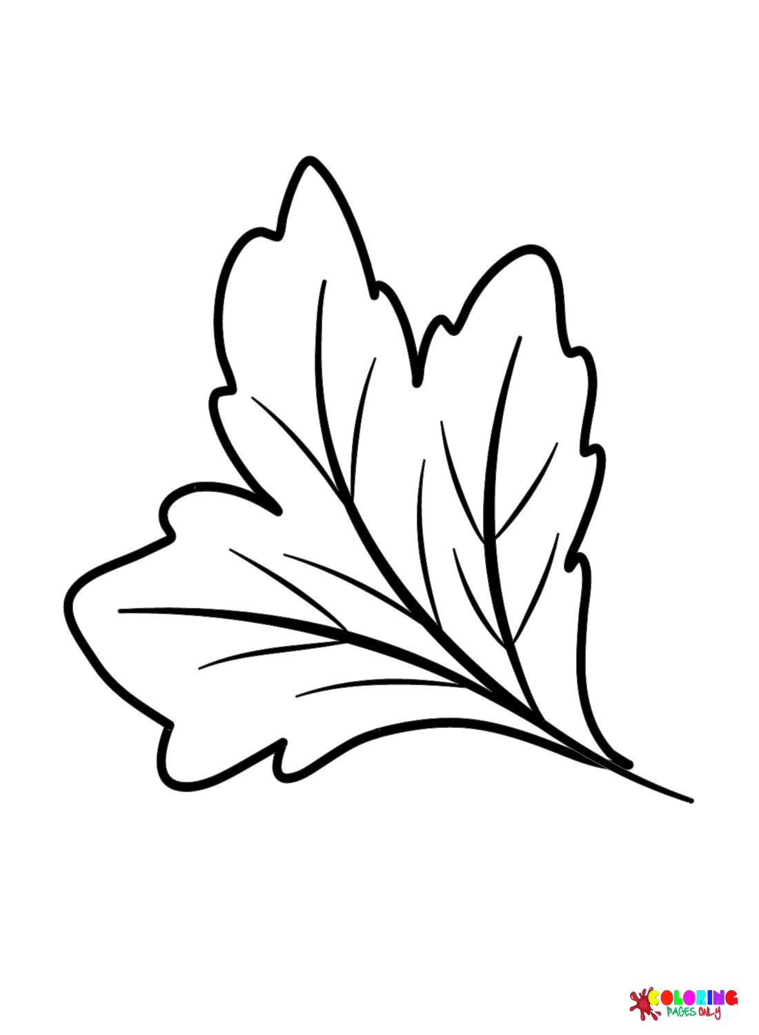 hawthorn-leaf-coloring-pages-leaves-coloring-pages-coloring-pages-for-kids-and-adults