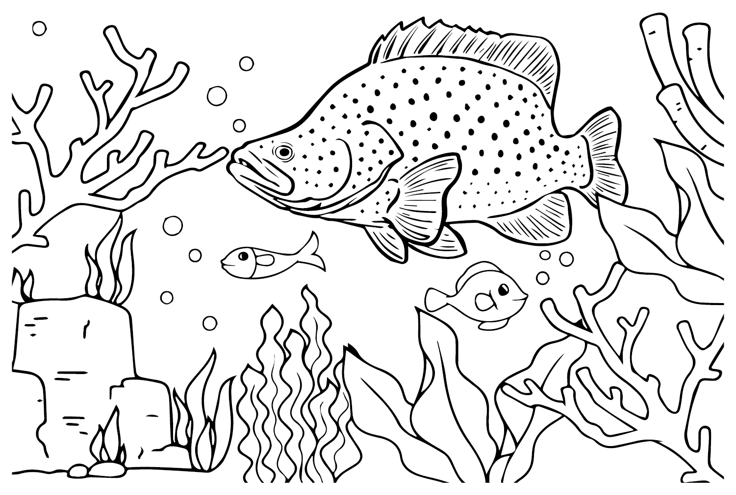 Free Printable Grouper from Grouper