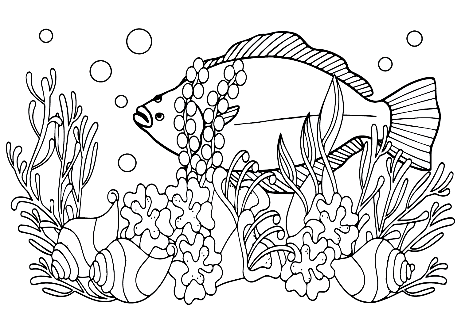 Free Printable Halibut Coloring Page - Free Printable Coloring Pages