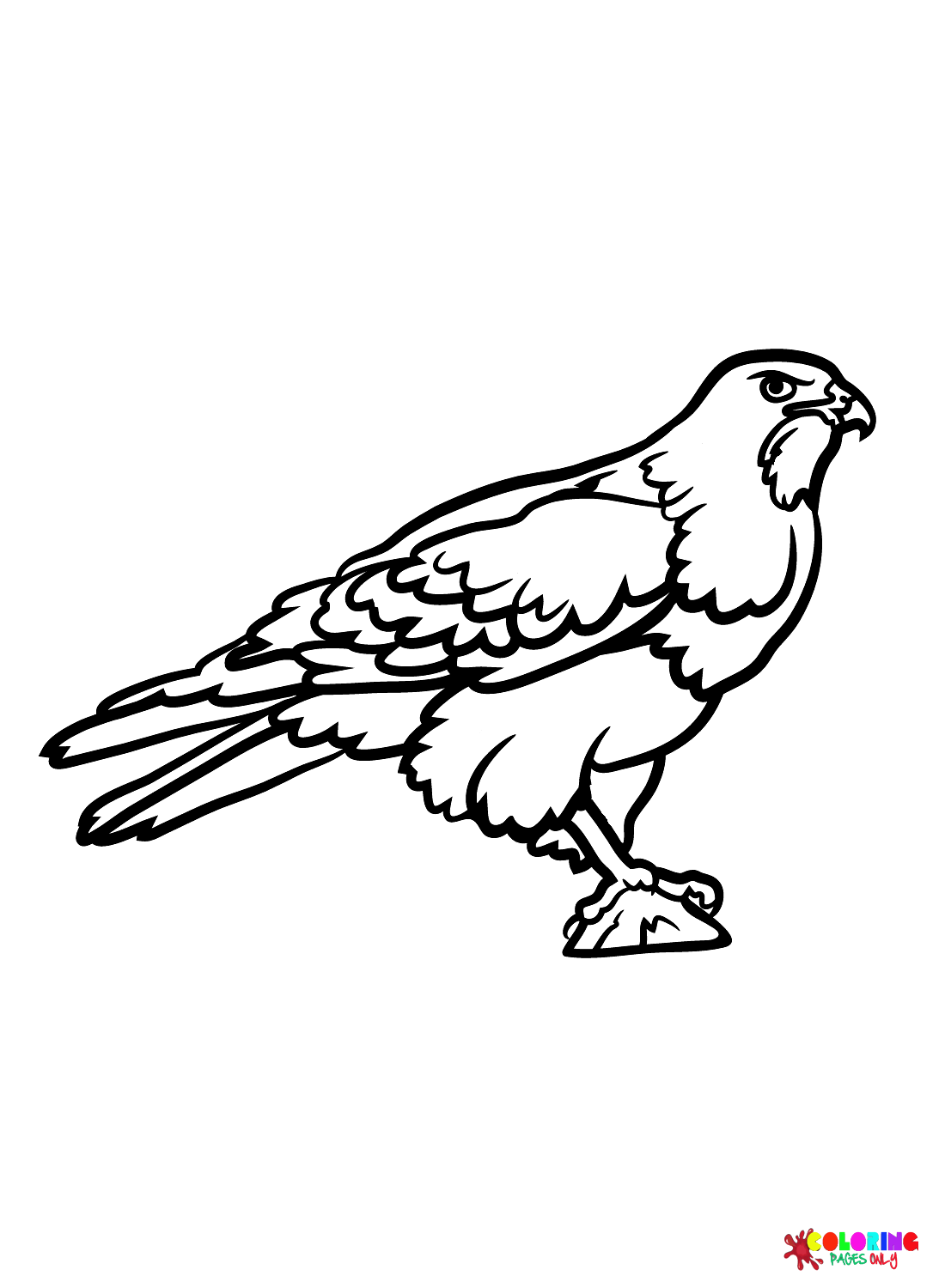 Halcón para imprimir gratis de Hawks