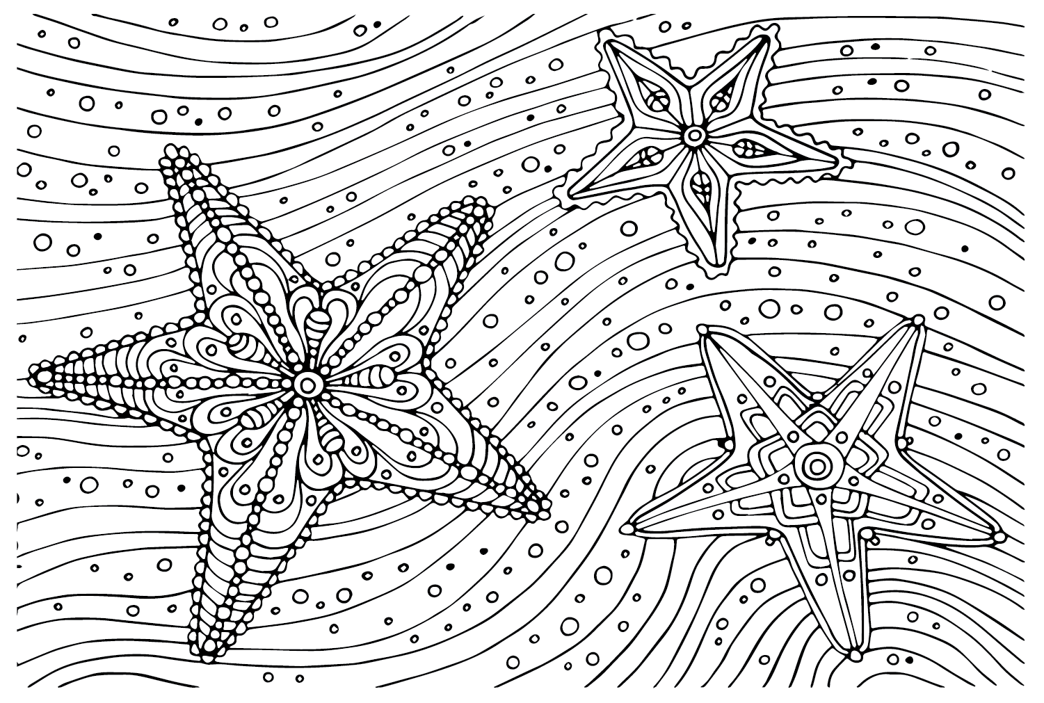 Estrela do mar grátis de Starfish