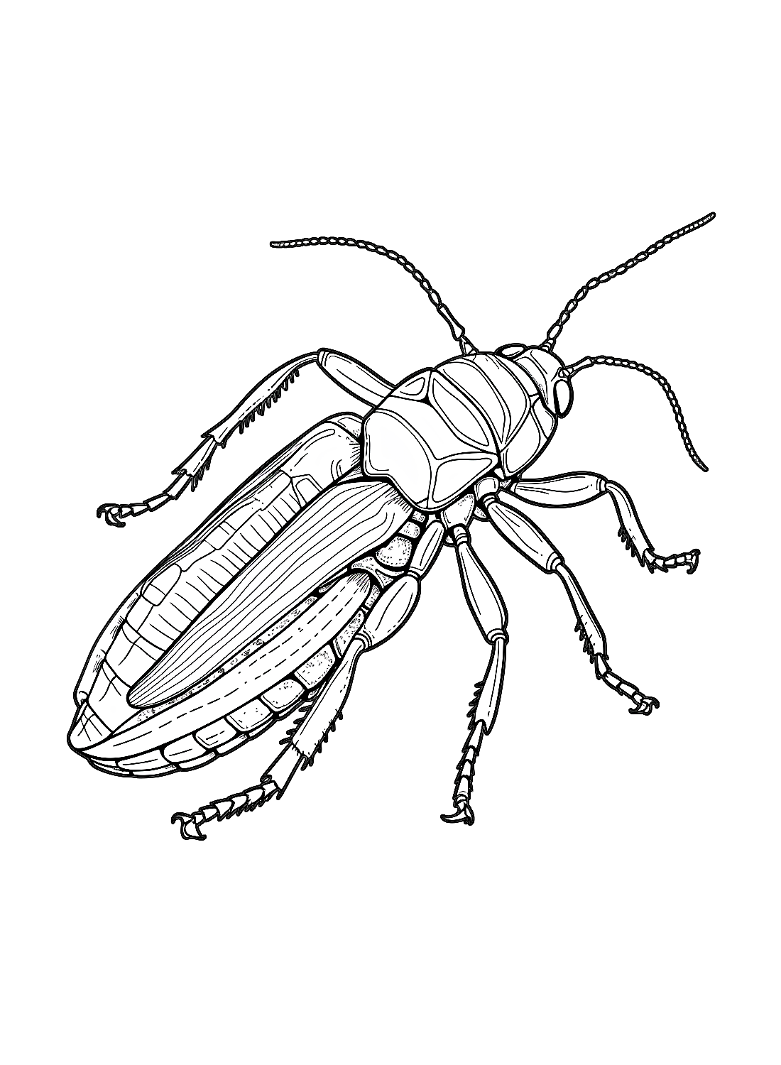 Gratis en afdrukbare Kakkerlak van Kakkerlak