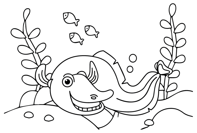 25 Eel Coloring Pages - Free & Printable for Kids and Adults