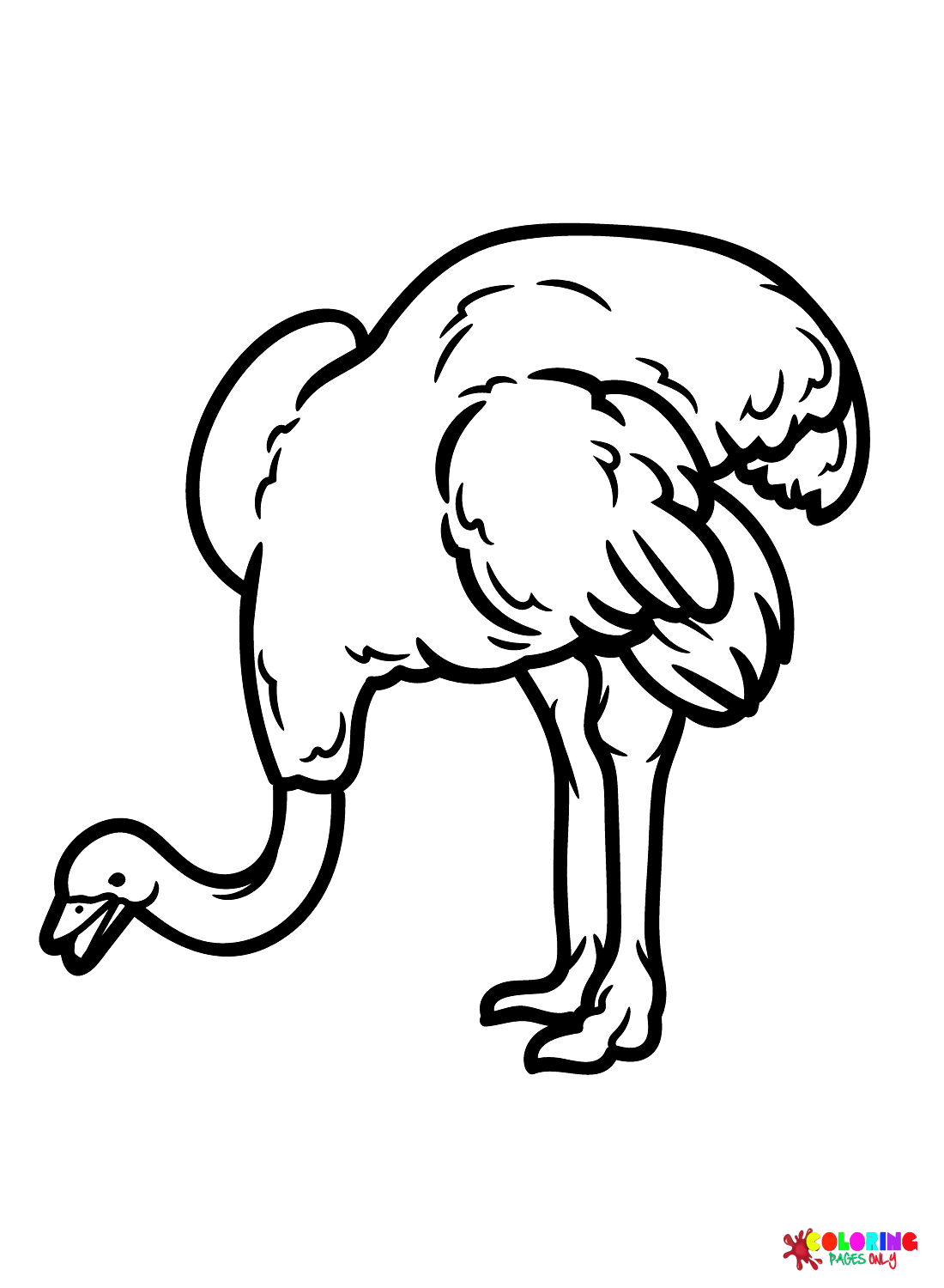 Grappige Emu van Emu