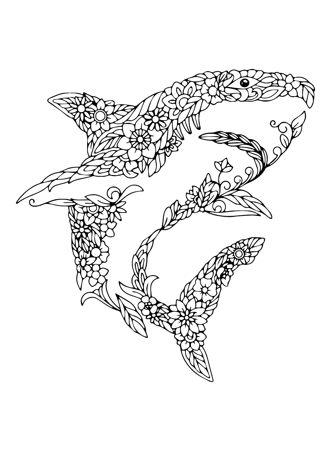 Imágenes del gran tiburón blanco del gran tiburón blanco
