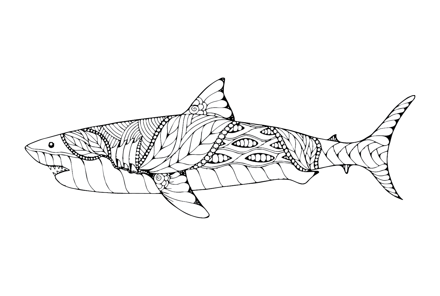 Изображения большой белой акулы