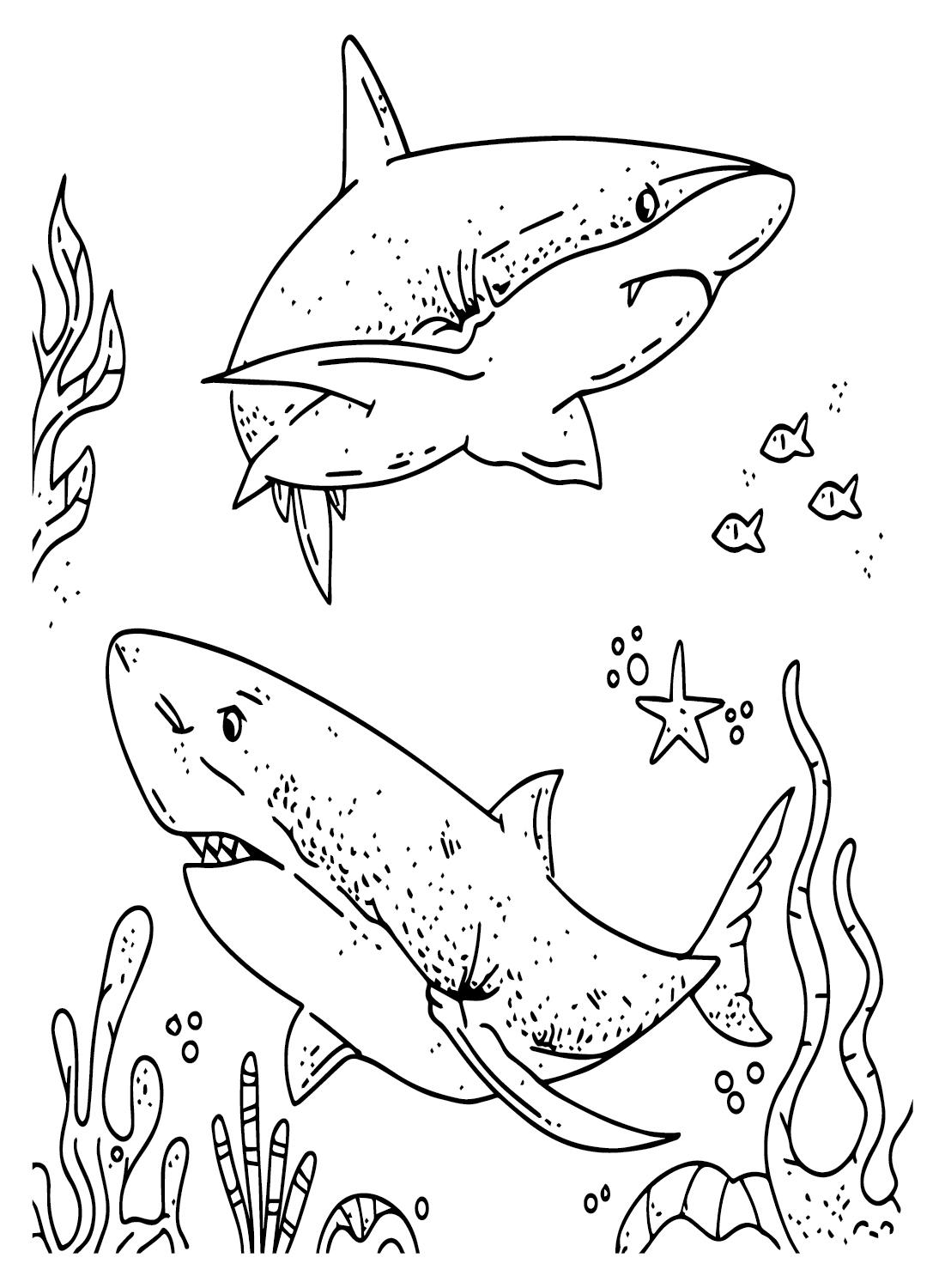 Gran tiburón blanco para niños de Great White Shark
