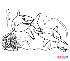 Great White Shark Coloring Pages
