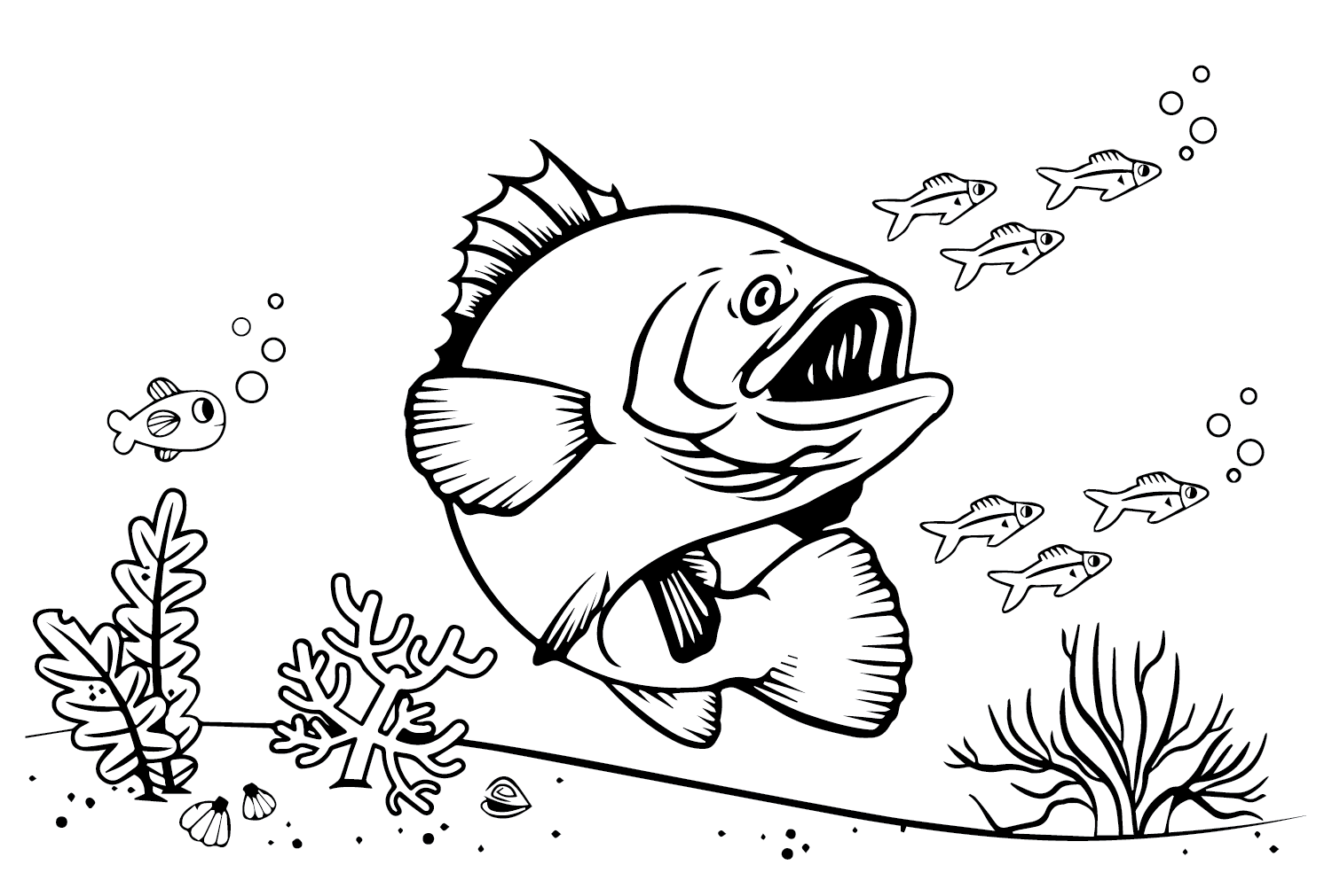 Grouper Drawing from Grouper