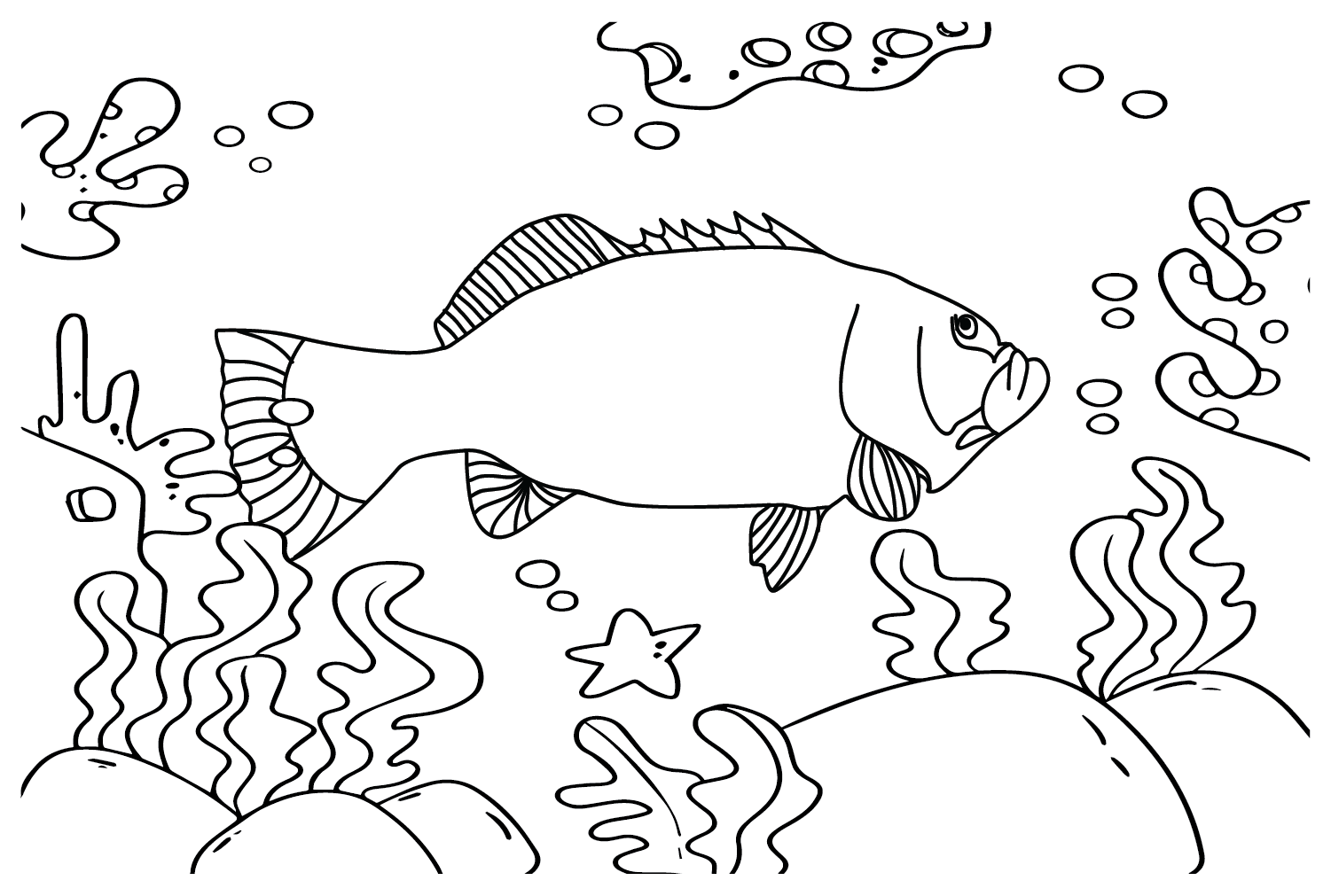Grouper Pictures Coloring Pages