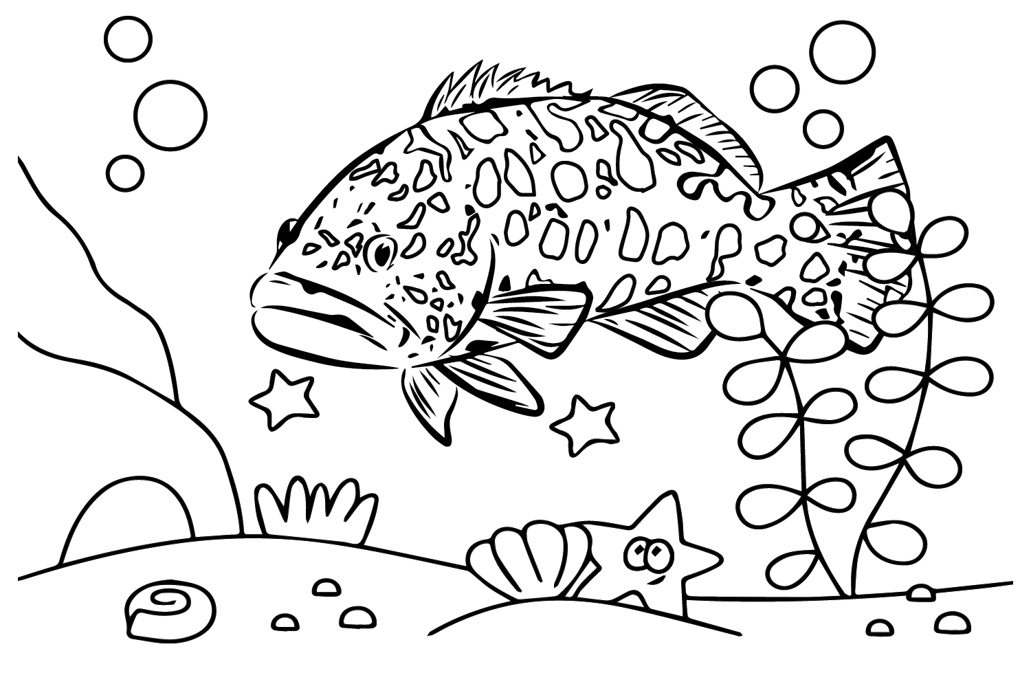 Grouper to Color from Grouper