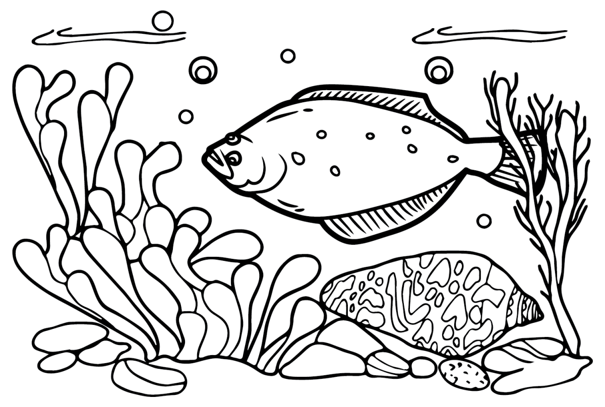 24 Free Printable Halibut Coloring Pages