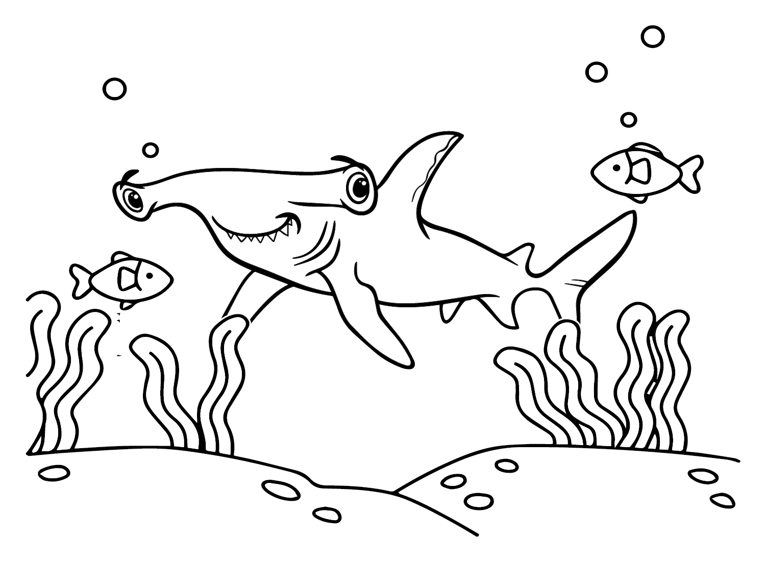 海底双髻鲨 from Hammerhead Shark