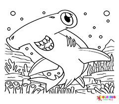 Hammerhead Shark Coloring Pages