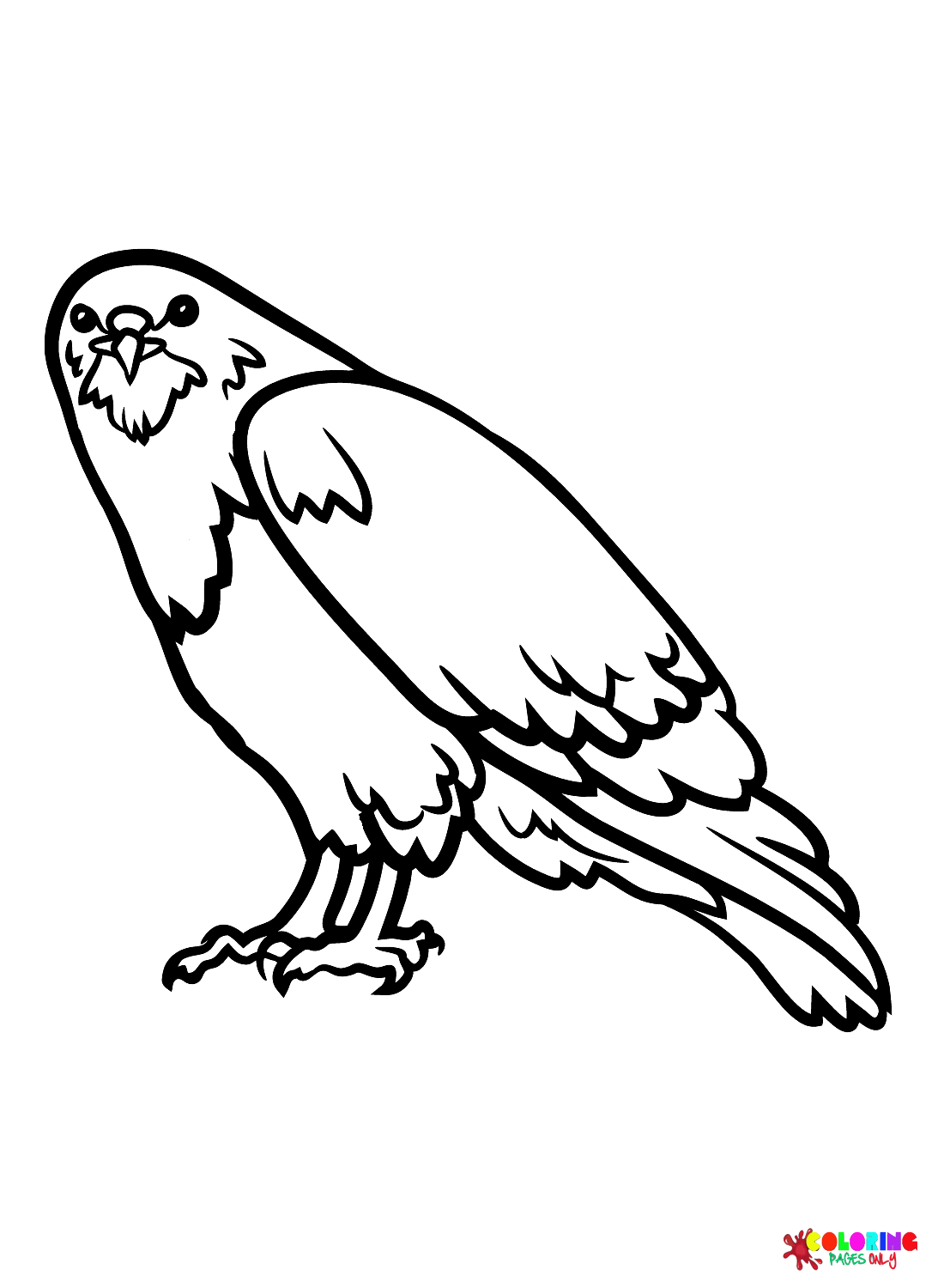 Falkenvogel von Hawks
