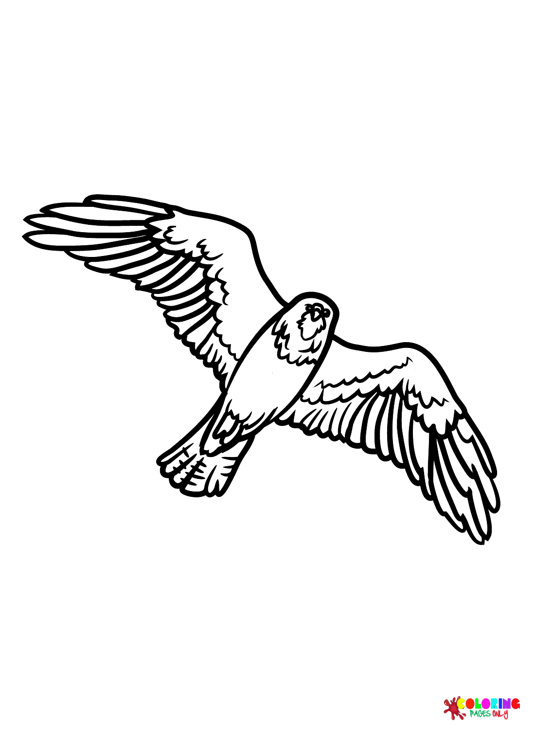 Halcón libre de halcones
