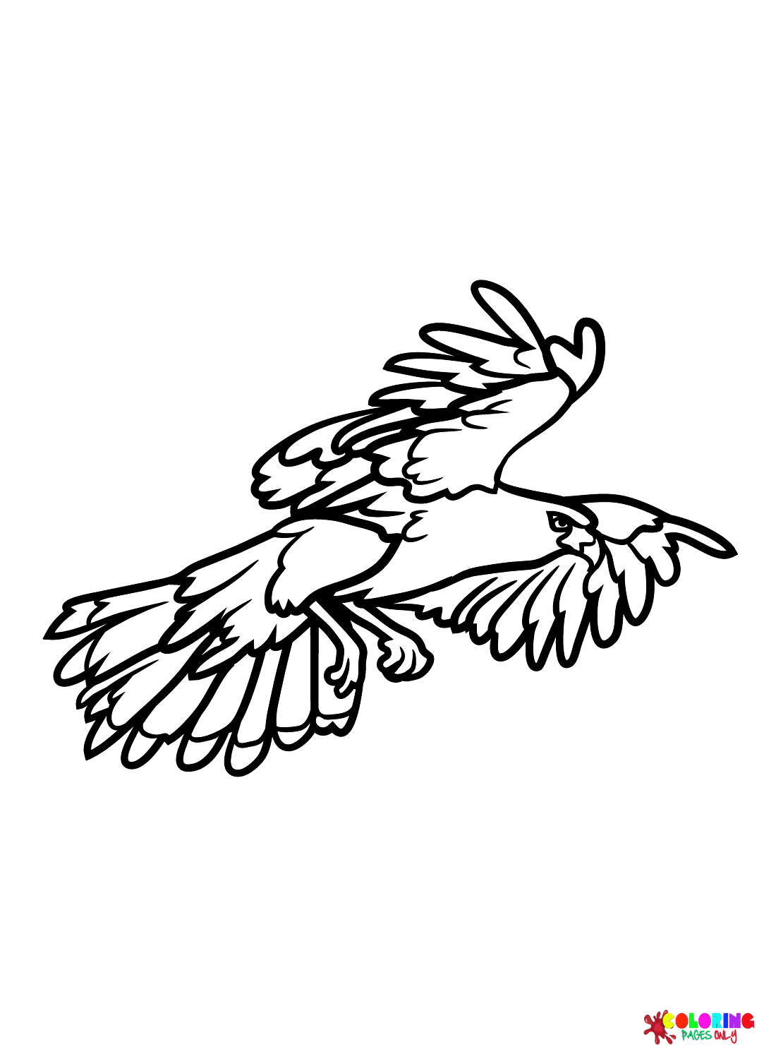 Falkenbilder von Falken