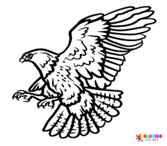 Hawks Coloring Pages