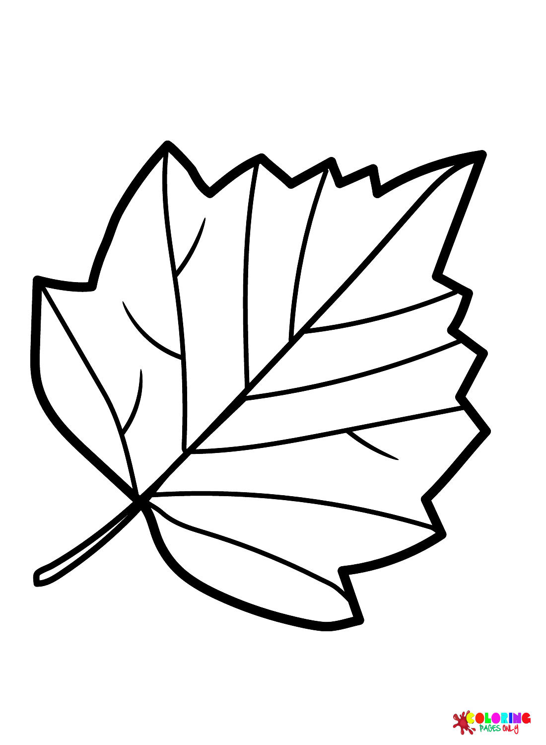 Página para colorir folha de espinheiro