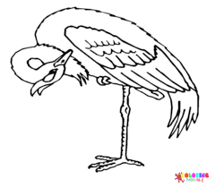 Heron Coloring Pages