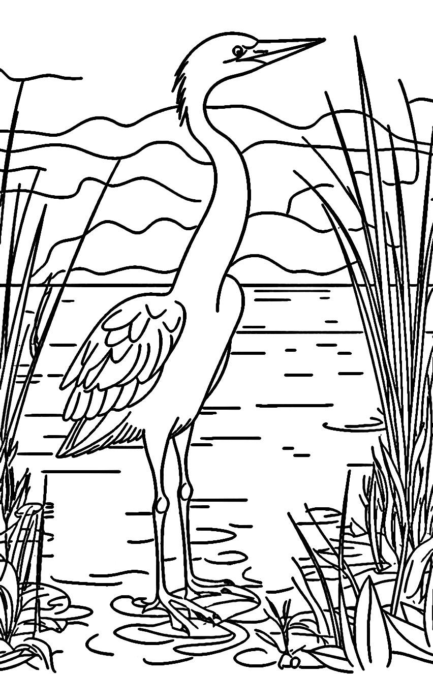 Цапля с природой от Heron