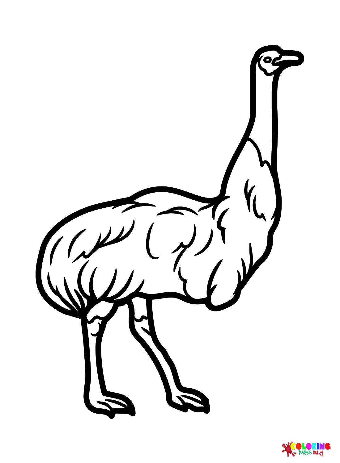 Afbeeldingen Emu Vogel van Emu
