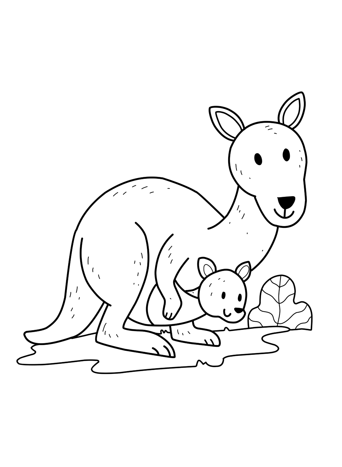 Kangaroo Playing with Joey from Kangaroo