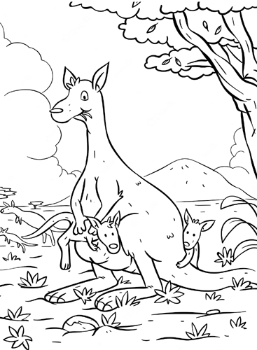 Kangaroo's family