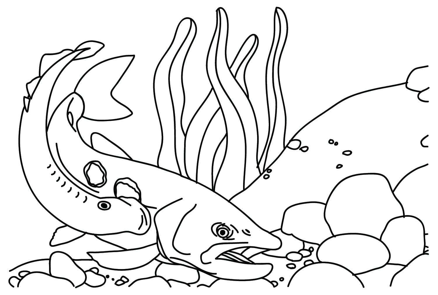 Lamprey Bites Fish Coloring Page - Free Printable Coloring Pages