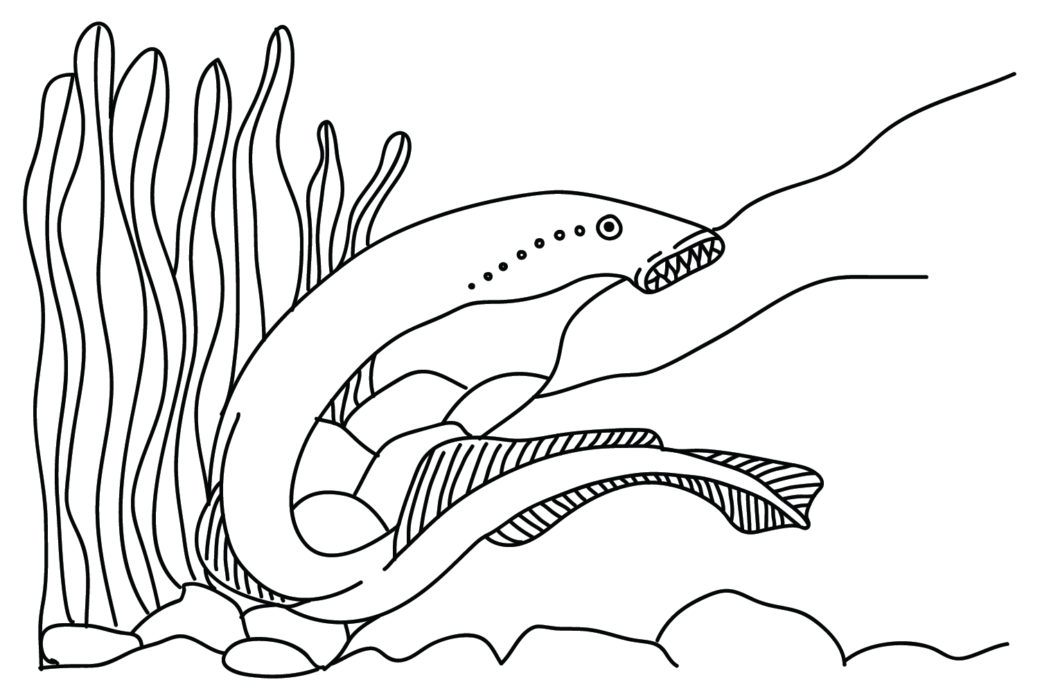 Lamprey Black and White Coloring Page - Free Printable Coloring Pages