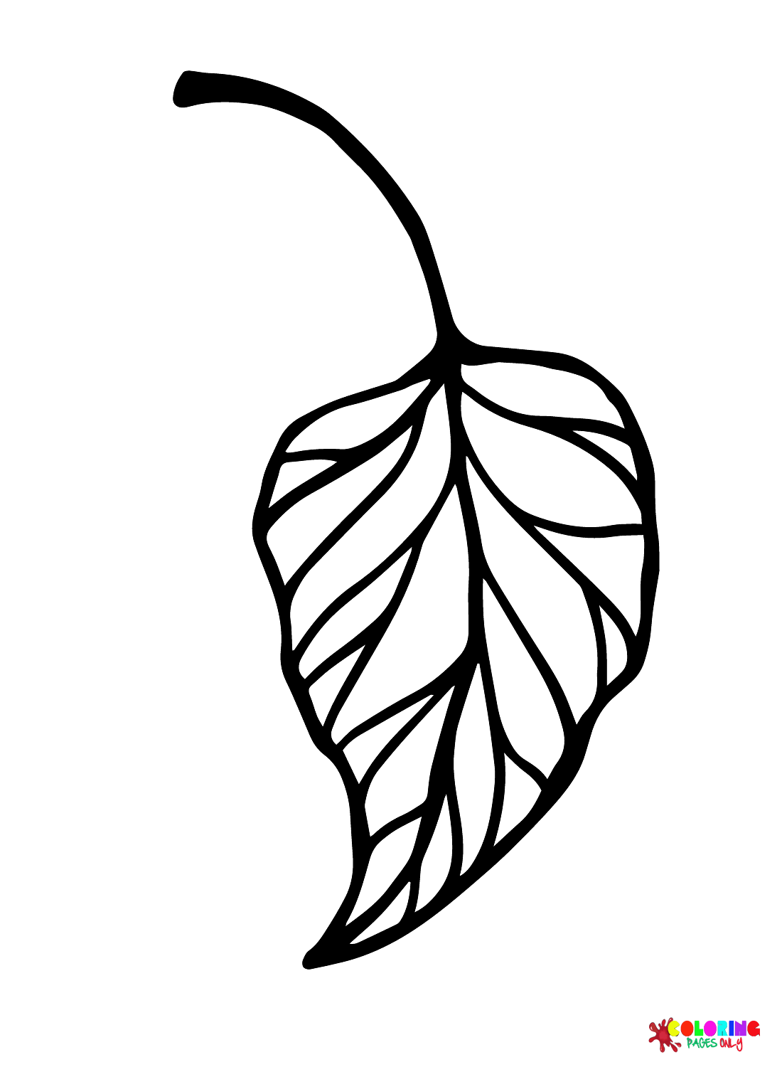 Foglia priva di foglie